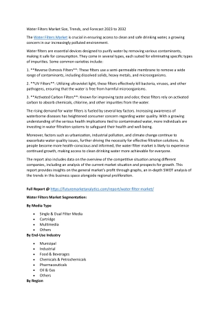 "Purity and Purpose: Water Filters at the Intersection of Health and Sustainabil