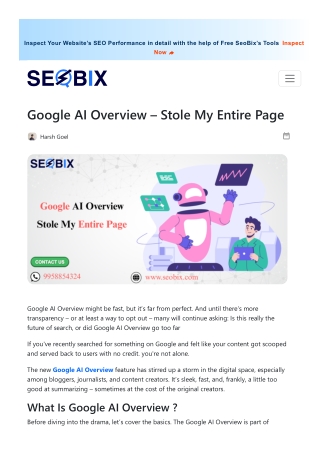 Google AI Overview – Stole My Entire Page