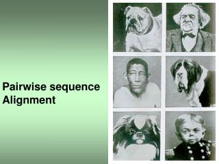 Pairwise sequence Alignment