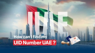UID Number The Digital Key to Your Identity