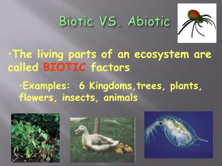 Biotic VS. Abiotic