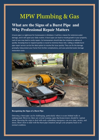 What are the Signs of a Burst Pipe and Why Professional Repair Matters