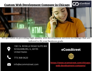 Custom Web Development Company in Chicago