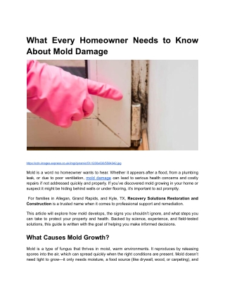BLOG CONTENT _ Month 7 _ What Every Homeowner Needs to Know About Mold Damage