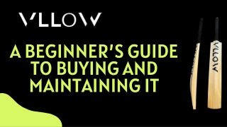 A Beginner’s Guide to Buying and Maintaining It