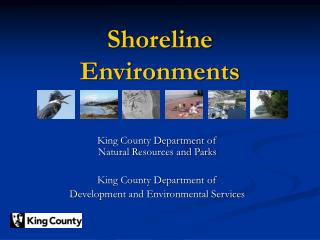Shoreline Environments