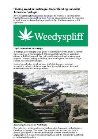 Finding Weed in Portalegre Understanding Cannabis Access in Portugal