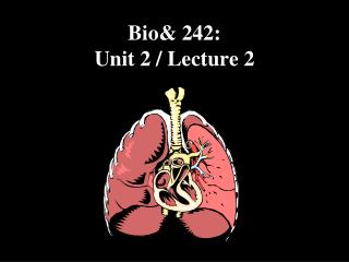 Bio&amp; 242: Unit 2 / Lecture 2