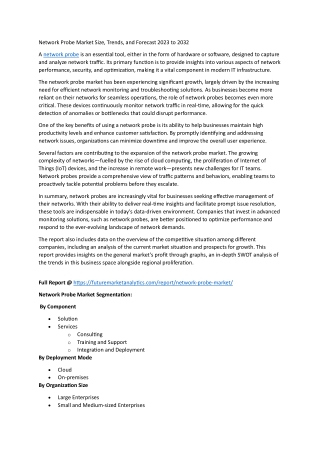 Navigating Network Complexity: Probes and Their Market Trajectory