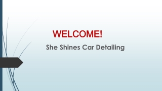 Best Interior Detailing in Clear Island Waters
