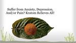 Suffer from Anxiety, Depression or Pain- Kratom Relieves All