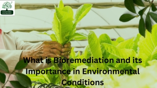 What is Bioremediation and its Importance in Environmental Conditions