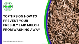 Top Tips to Stop Fresh Mulch from Washing Away Easily