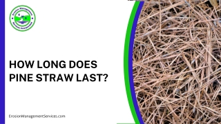 Make Your Mulch Last Pine Straw Tips You Should Know