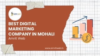 Best Digital Marketing Company in Mohali: Boost Your Business Today!