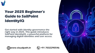 Top Sailpoint Online Training in Ameerpet with Job Assistance