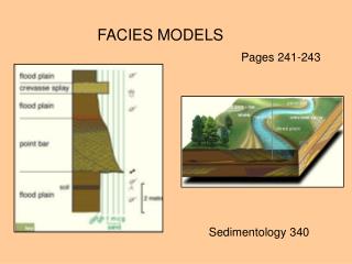 FACIES MODELS