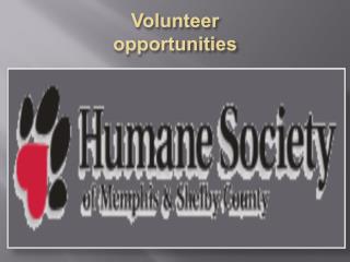 Volunteer opportunities