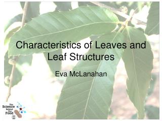 Characteristics of Leaves and Leaf Structures