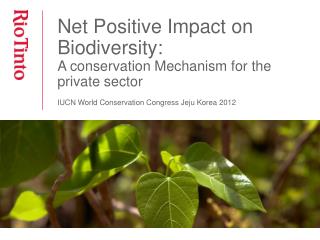 Net Positive Impact on Biodiversity: A conservation Mechanism for the private sector