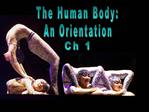 The Human Body: