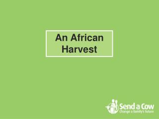 An African Harvest