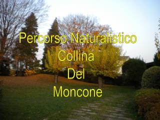 Percorso Naturalistico Collina Del Moncone