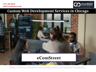 Custom Web Development Services in Chicago