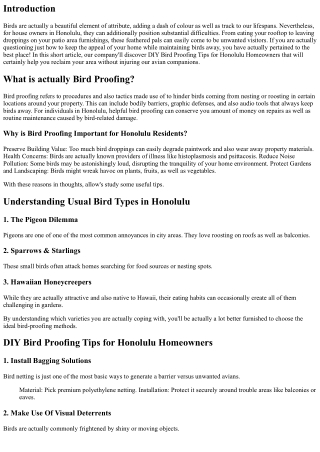 DIY Bird Proofing Tips for Honolulu Homeowners