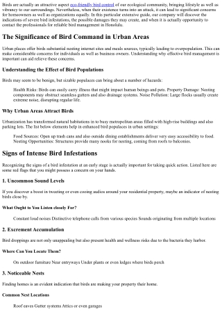 When to Call Experts: Recognizing Severe Bird Infestations