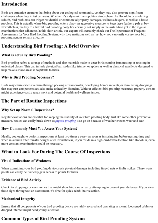 The Importance of Regular Inspections for Your Bird Proofing System