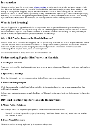 DIY Bird Proofing Tips for Honolulu Homeowners
