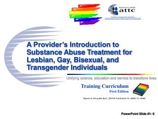 A Provider’s Introduction to Substance Abuse Treatment for Lesbian, Gay, Bisexual, and Transgender Individuals