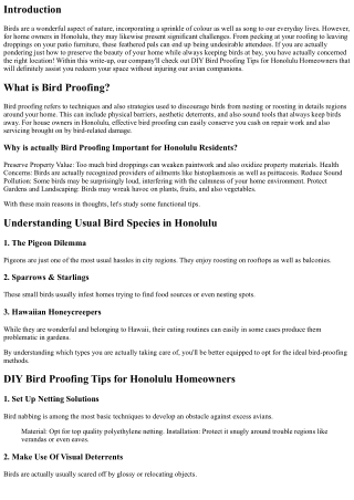 DIY Bird Proofing Tips for Honolulu Homeowners