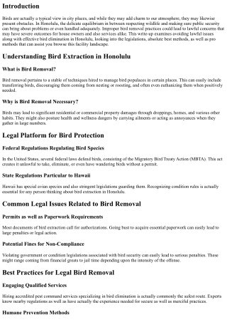 Avoiding Legal Issues with Proper Bird Removal in Honolulu