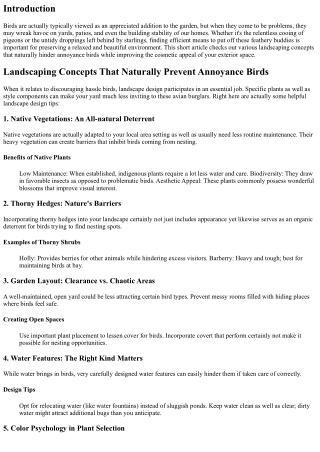 Landscaping Ideas That Naturally Deter Nuisance Birds