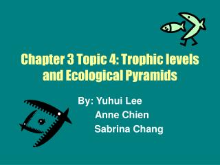 Chapter 3 Topic 4: Trophic levels and Ecological Pyramids