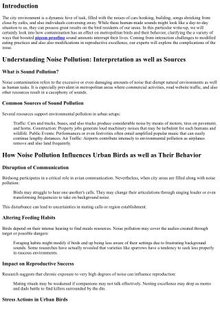 How Noise Pollution Affects Urban Birds and Their Behavior