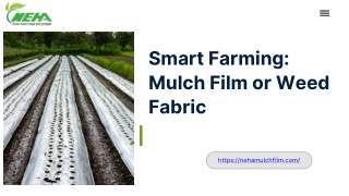 Mulch Film Or Weed Fabric What’s Best For Efficient Farming