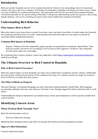 The Ultimate Guide to Bird Control in Honolulu