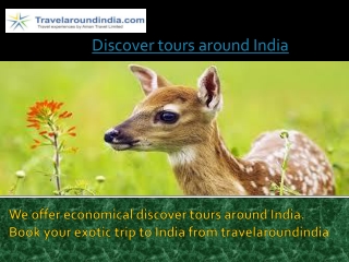 Discover tours around India