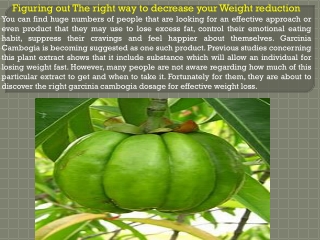 Figuring out The right way to decrease your Weight reduction