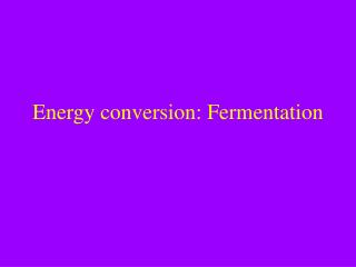 Energy conversion: Fermentation