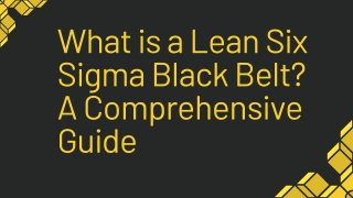 What is a Lean Six Sigma Black Belt? A Comprehensive Guide