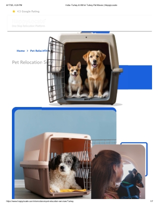 India–Turkey & Within Turkey Pet Moves  HappyLocate