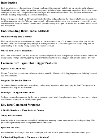 A Beginner's Guide to Understanding Bird Control Methods