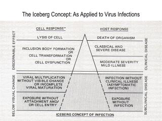 The Iceberg Concept: As Applied to Virus Infections
