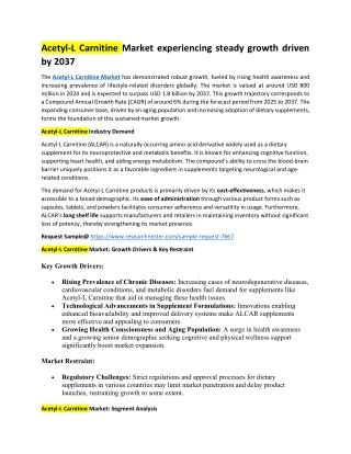 Acetyl-L Carnitine Market