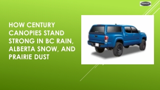 How Century Canopies Stand Strong in BC Rain, Alberta Snow, and Prairie Dust