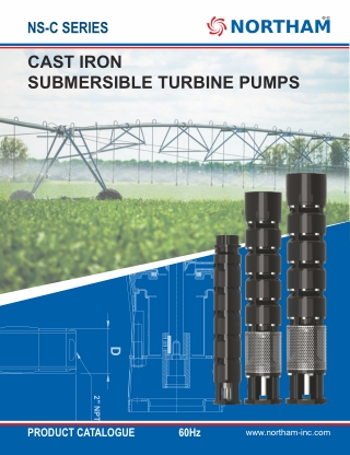 Cast Iron Submersible Turbine Pumps - Northam Inc
